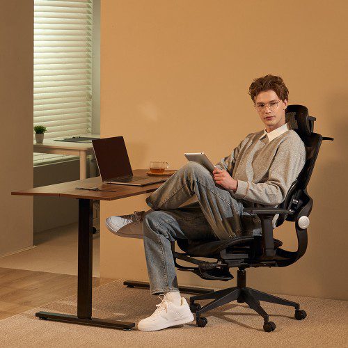 굿백체어 V2 허리의자 사무실 의자 사무용 컴퓨터 허리가 편한 메쉬 공부 책상 침대 척추