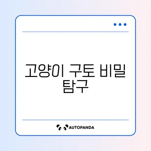 고양이 구토 원인과 일정 완벽 정리 가이드 알아보기