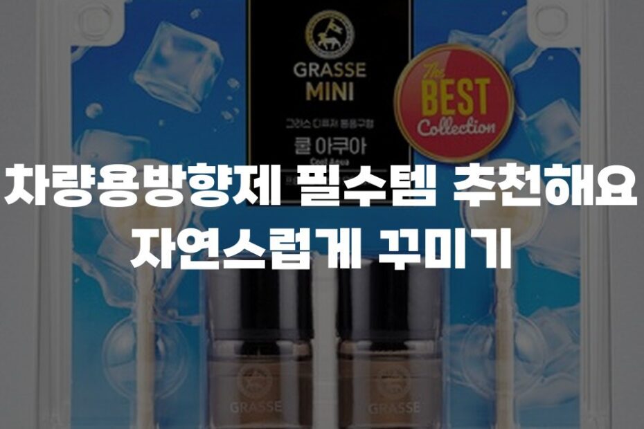 차량용방향제 필수템 추천해요 자연스럽게 꾸미기