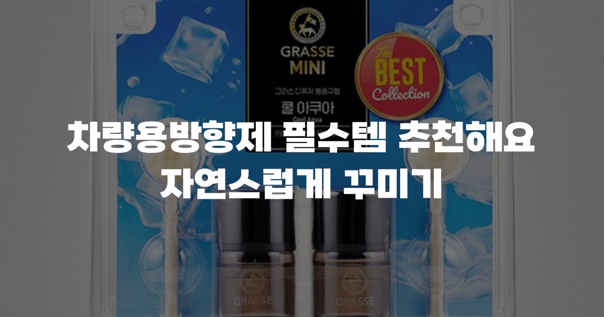 차량용방향제 필수템 추천해요 자연스럽게 꾸미기