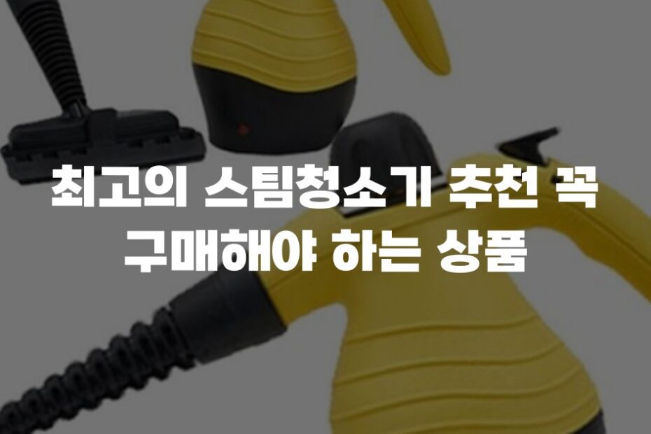 최고의 스팀청소기 추천 꼭 구매해야 하는 상품
