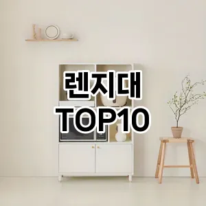 [진짜리뷰]렌지대 추천 순위 구매가이드 TOP10 장단점